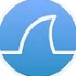 wireshark